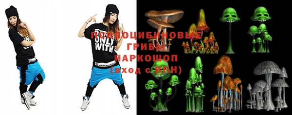 индика Балахна