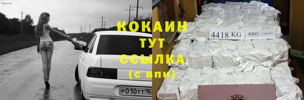 индика Балахна