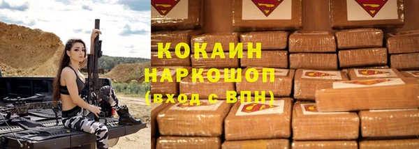 индика Балахна