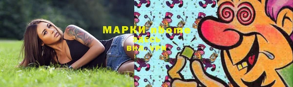 индика Балахна