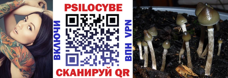 цены   Рудня  МЕГА ссылка  Псилоцибиновые грибы ЛСД 