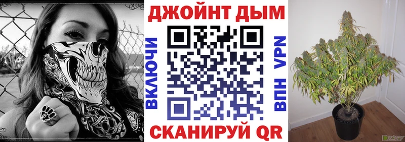 Каннабис ГИДРОПОН  мега как зайти  Рудня  как найти закладки 